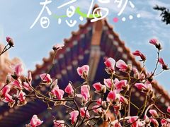 -故宫博物院(故宫)