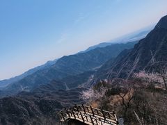 -大岭沟猕猴桃谷风景区