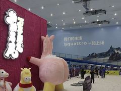 -广州热雪奇迹