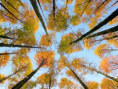 -山王坪喀斯特国家生态公园