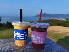 -南澳岛打卡果汁冰公司