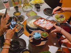 -芸山季·云南山珍菌火锅(人民广场来福士店)