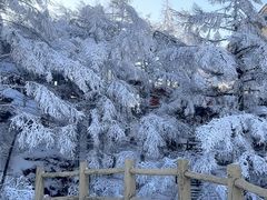 -崂山巨峰游览区