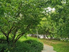 -桃花岛公园
