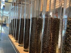 -喜茶(上海兴业太古汇店)