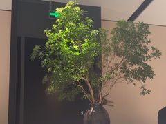 -炳胜私厨(万象前海店)