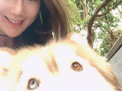 -TrueLove @ Neverland (Husky Cafe)