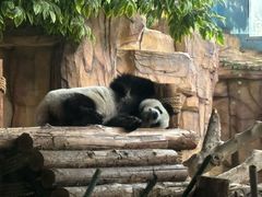 -泉州海丝野生动物世界