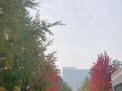 -辽宁大学(崇山校区)