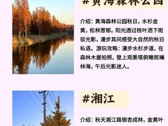 -黄海国家森林公园