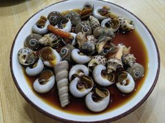 -红灯笼龙凤饭店(宁波老字号店)