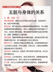 点击看大图 -玛莲朵·海菲秀冰珀科