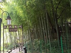 -宝岩生态观光园