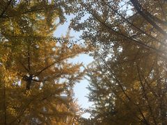 -辽东学院(南校区)