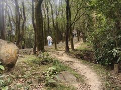 -火炉山森林公园