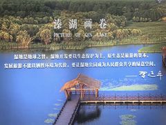 -溱湖国家湿地公园