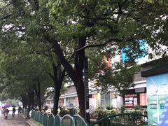 -双季花艺园艺市场(浦东店)