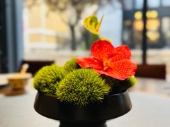 -拾久(朝阳公园店)