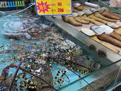 进口澳洲花龙虾-渔民新村(番禺总店)