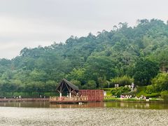 -神光山国家森林公园