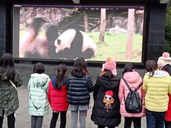 -中国大熊猫保护研究中心雅安碧峰峡基地