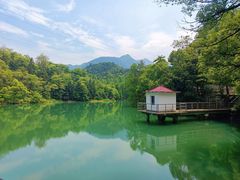 -天花井景区
