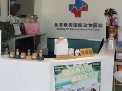 -欧奕国际动物医院