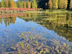 -广州市石门国家森林公园