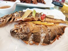 -骏莱海鲜鱼港(五角场店)