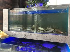 -一号码头蒸汽海鲜自助