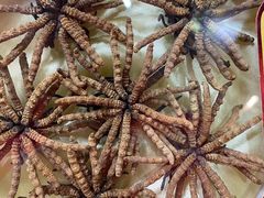 -回收名酒洋酒烟酒冬虫夏草礼品(上海总店)