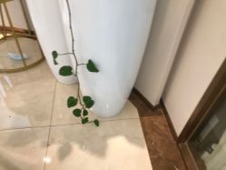 点击看大图 -丽美妍医疗美容·皮秒·立体分层抗衰