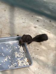 -萌宠亲子动物乐园(槐房万达店)