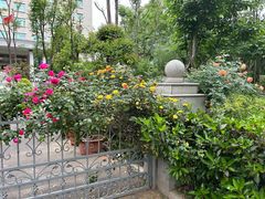 -循礼门鲜花花市(武汉循礼门店)