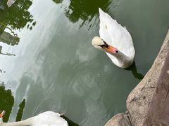 -海合安武汉极地海洋公园