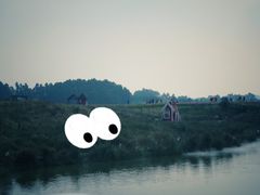 -空港花田景区