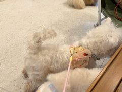 -omitofee咖啡(水泽店)