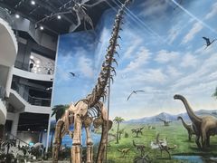 -辽宁古生物博物馆