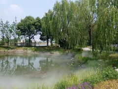 -梁鸿国家湿地公园