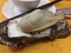 -蚝专家(北滘店)