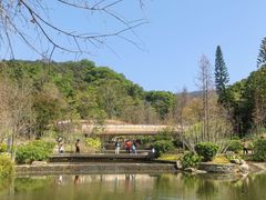 -云溪植物园