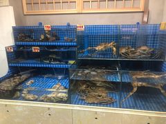 -本家食堂(华南店)