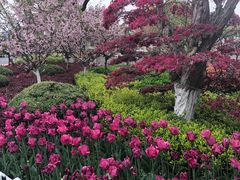 -上海望仙安息园