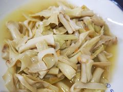 炒蒲菜-杨辉饭店