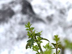 -溪口-滕头旅游景区