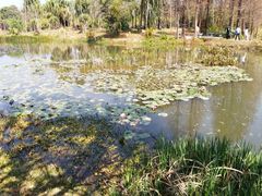 -华南国家植物园-售票处