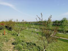 -洨河生态公园