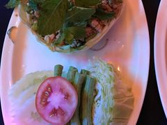 -Mister 99 Beer Garden