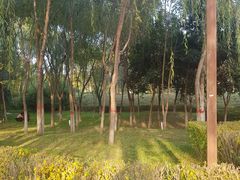 -西安汉城湖景区