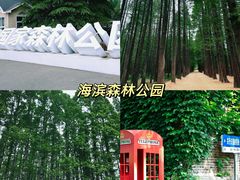 -日照海滨国家森林公园
